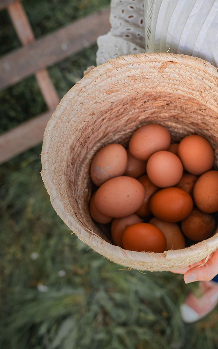 Hero Nuestro Producto